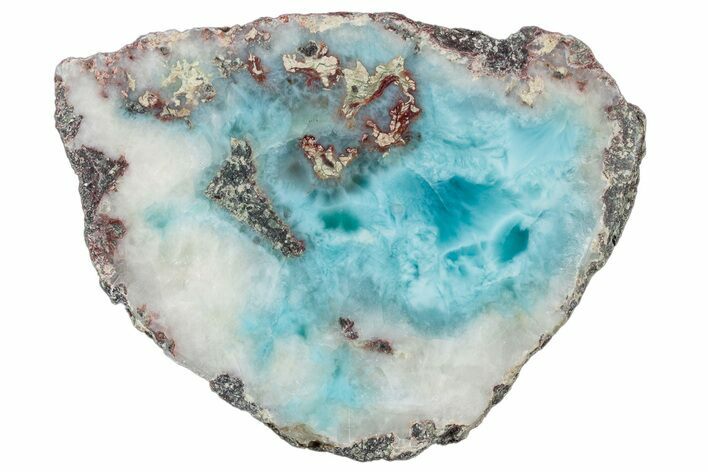 Slice Of Larimar Replaced Wood Limb Cast #316965